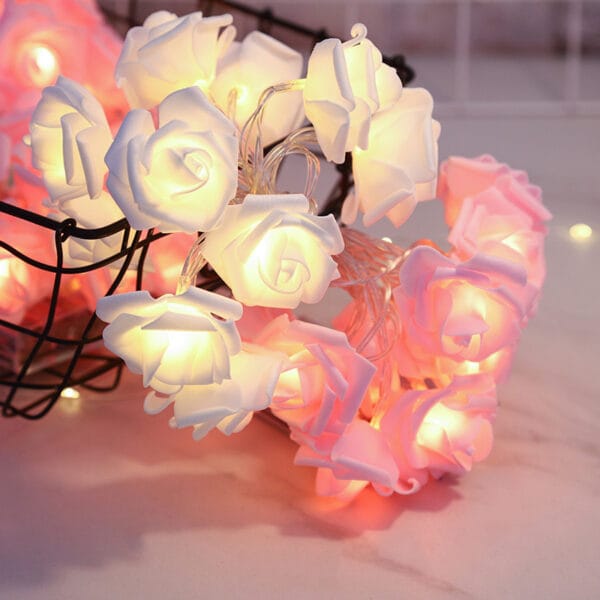 wit roze rozen verlicht